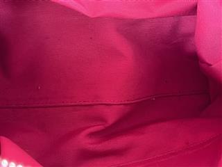 COACH Khaki & Pink Signature Stripe Tote A1076-F13548